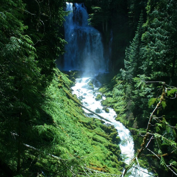 Meet your Posher, Lyn - Picture 1 of 1